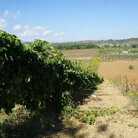 Agreebreak Bed & Breakfast Rende